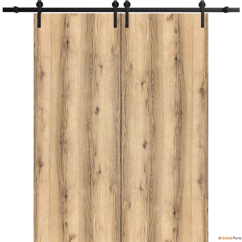 Planum 0010 Oak Double Barn Door and Black Rail